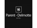 Détails : Parent-Delmotte: Pavage Tournai 