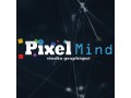 Détails : Pixel Mind: Studio graphique